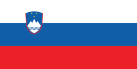 Slovenya Vizesi