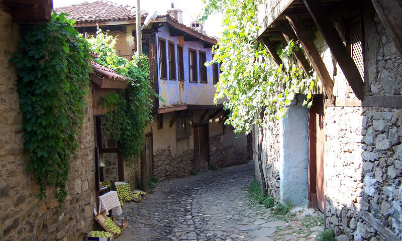 GÖLYAZI SAİTABAT CUMALIKIZIK - TURU