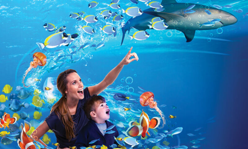 SEALIFE AKVARYUM-MİNİATÜRK-KOÇ MÜZESİ-BOĞAZ TURU