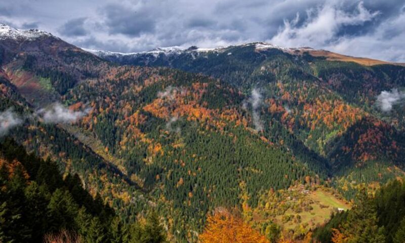 Karadeniz Rüyası ve Yaylalar Turu 