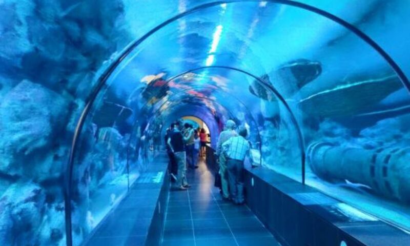 VİASEA AKVARYUM - KORSAN ADASI TEMA PARK  - ASLAN PARK