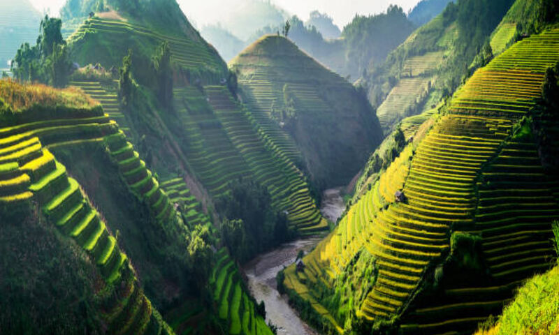 Rüya Ada Bali - Ubud Turu