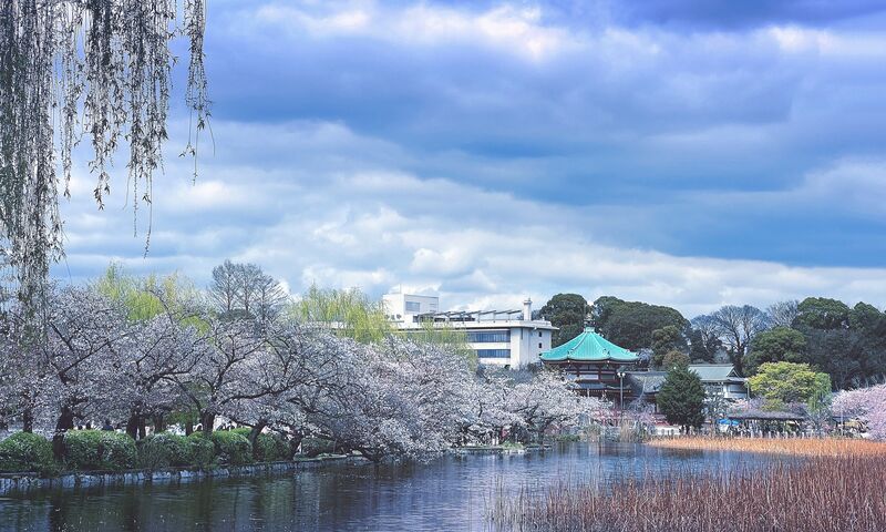 Japonya ve Kore Mistik Rotalar Turu THY ile 7 Gece